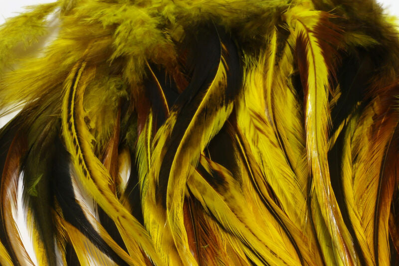 BSH383