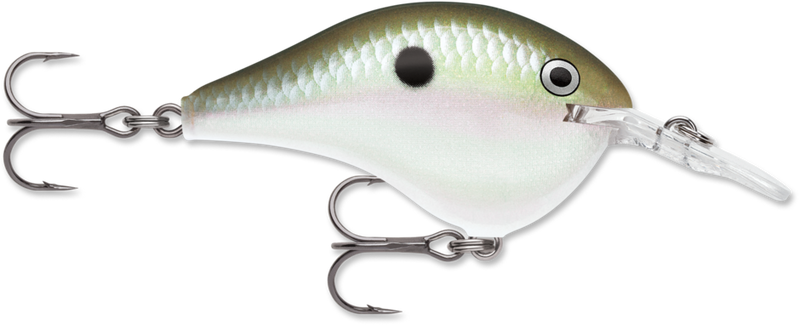 Rapala DT Series Crankbait
