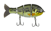 Catch Co Baby Bull Gill Baby Bass