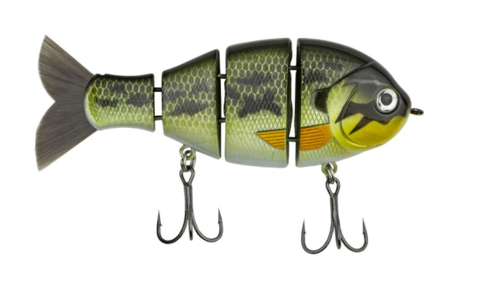 Catch Co Baby Bull Gill Baby Bass
