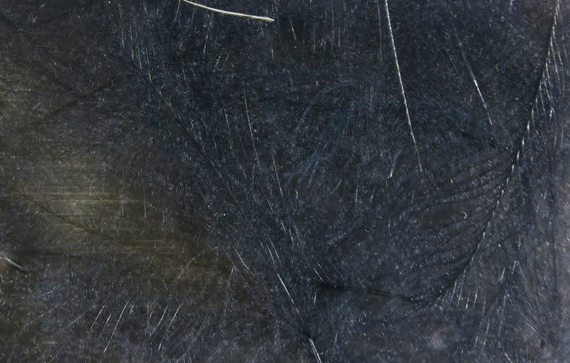 cdc black