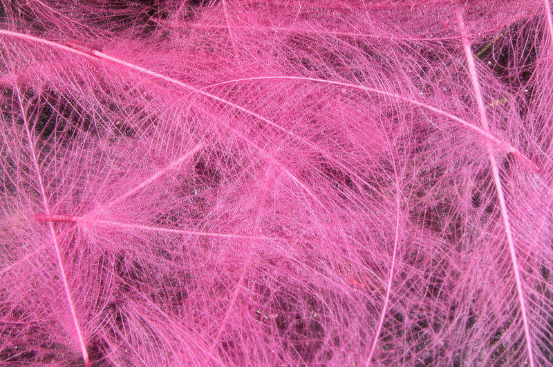 cdc pink
