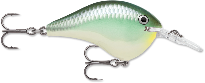 Rapala DT Series Crankbait