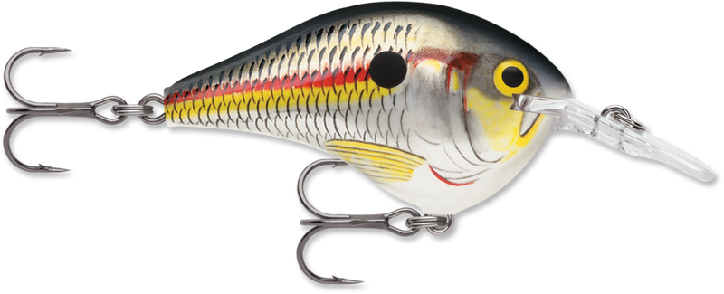 Rapala DT Series Crankbait