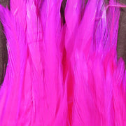 cerise