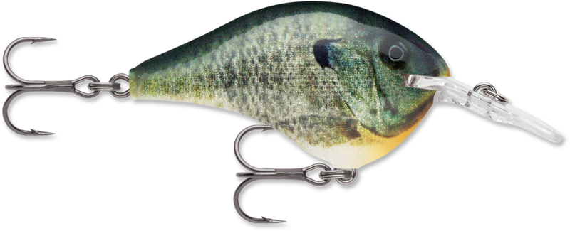 Rapala DT Series Crankbait