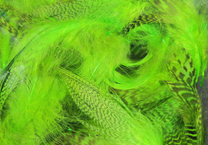 chartreuse