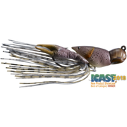 CHB-725-Icast2018winner_260x