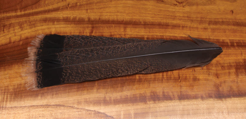 cinnamon tip