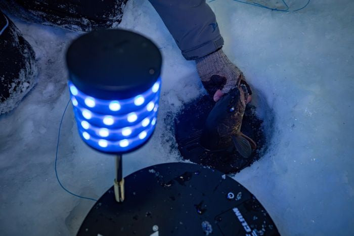 Clam Watchtower Lighted Tip-Up