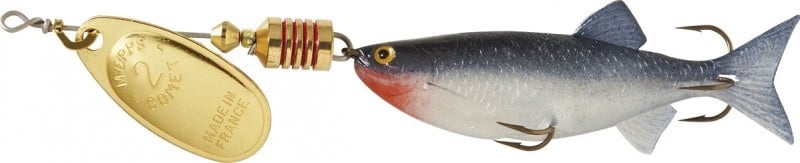 comet 2 gold shad