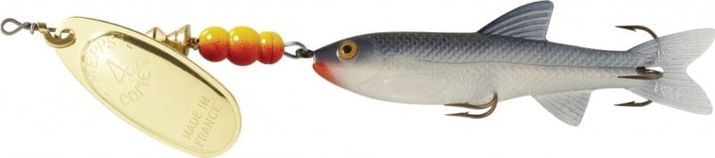 comet  gold shad