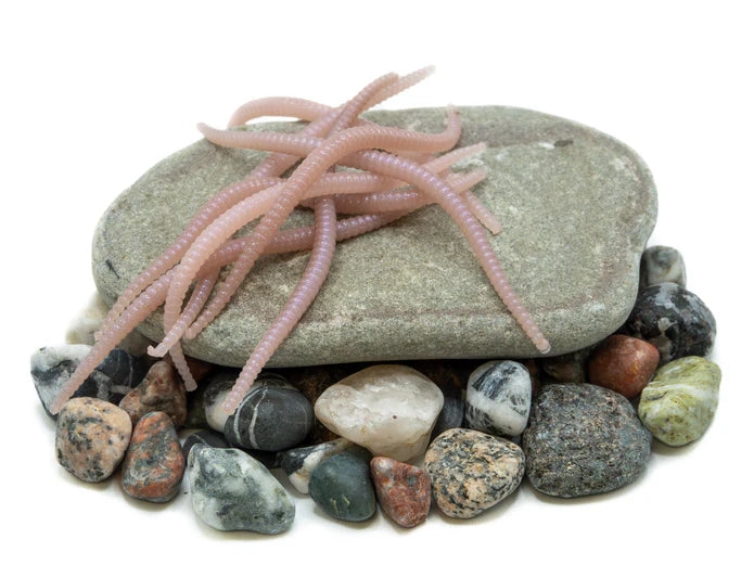 ConvictCrawlerNatural_695x522