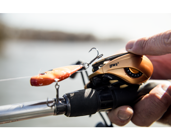Lew's Custom Pro Casting Reel