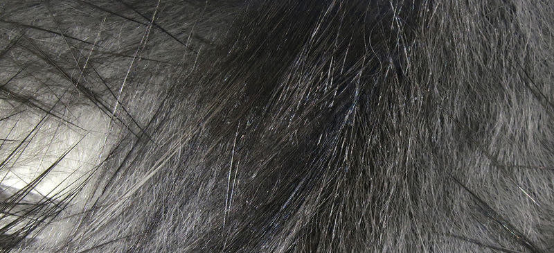 crosscut charcoal mouse gray