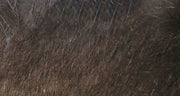 crosscut dark brown