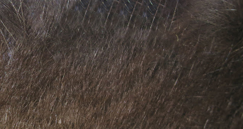 crosscut dark brown