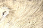 crosscut flesh