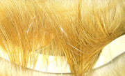 crosscut light brown