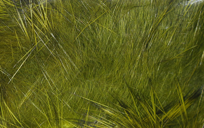 crosscut olive variant