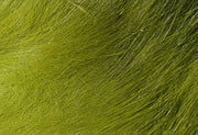 crosscut olive