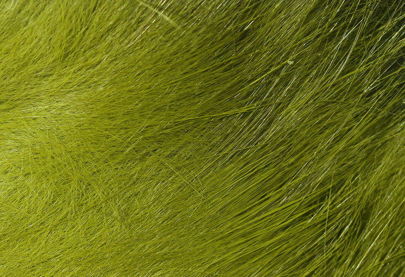 crosscut olive