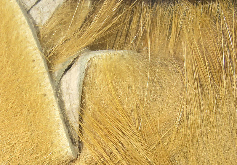 crosscut tan
