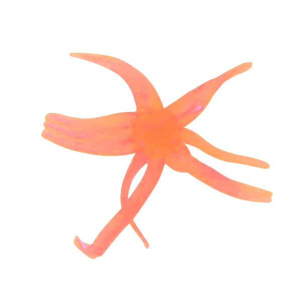 d860f8657f_maki_neki_blaze_orange_glow_copy_1