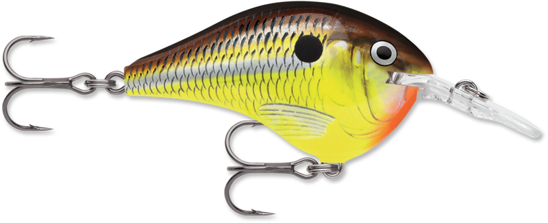 Rapala DT Series Crankbait