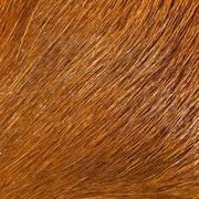 deer rusty orange