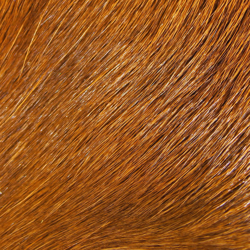 deer rusty orange
