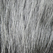 deer white gray