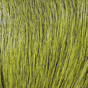deer white olive