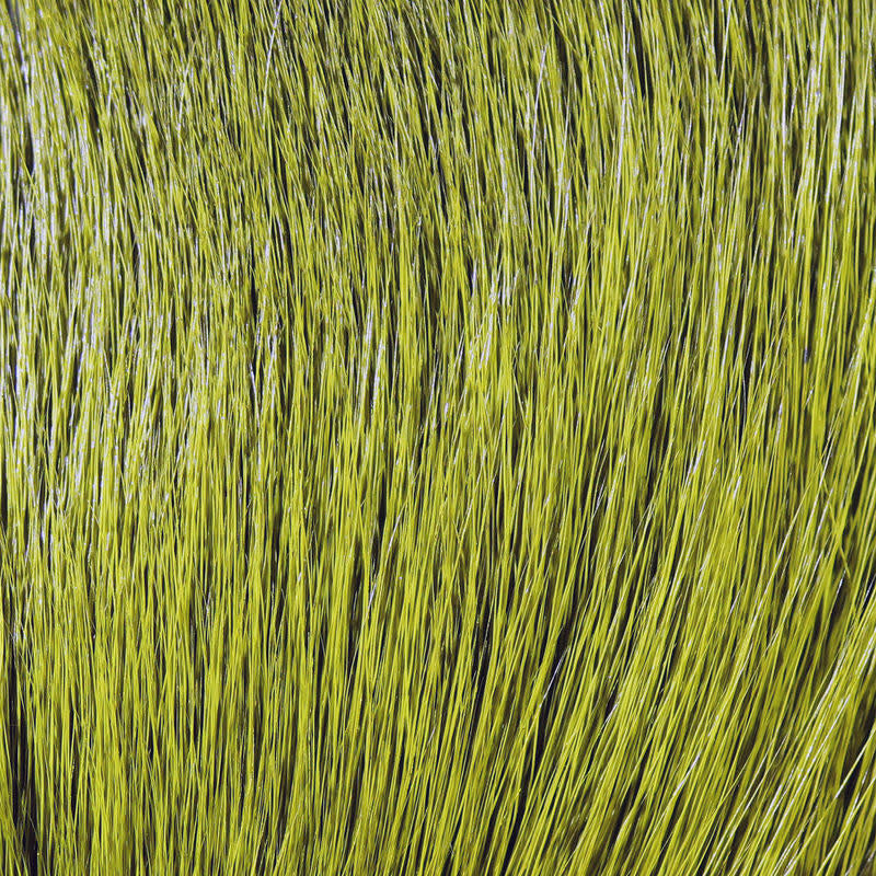deer white olive