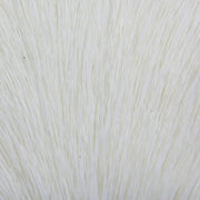 deer white
