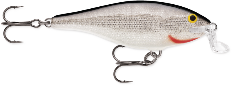 e1d7cd08a57432_n2qvai66dl3tv5af4o0tllfr58_b5f6b8df