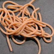 earthworm tan