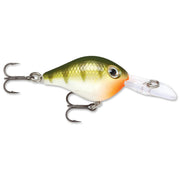 F11917_Yellow Perch!01
