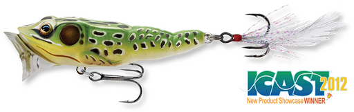 FGP_65T_500_ICAST_1000x