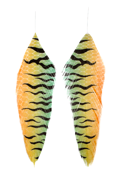 fish-feathers-firetiger