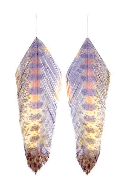 fish-feathers-juvy-rainbow