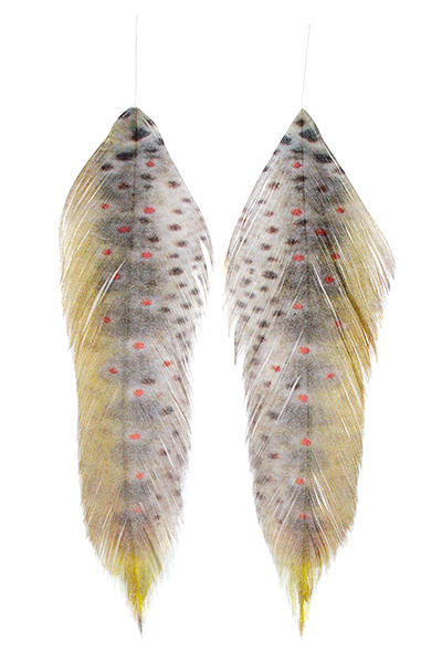 fish-feathers-mossy-brown