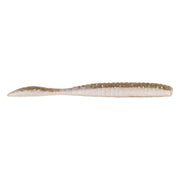 Flat Worm Brown Back