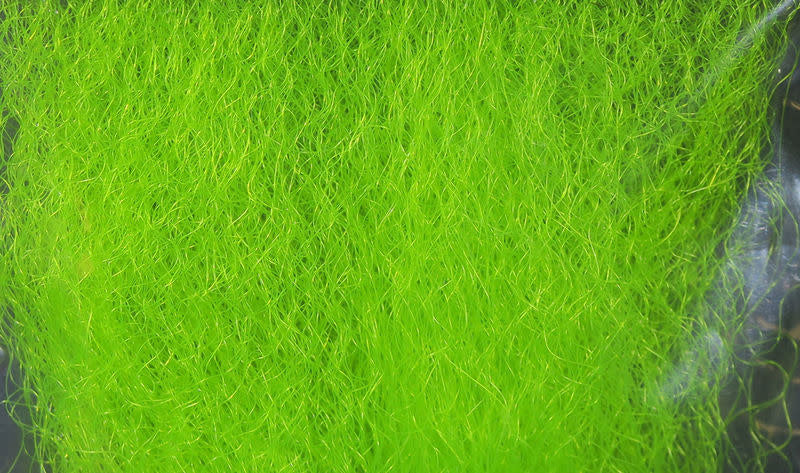 fuzzy chartreuse