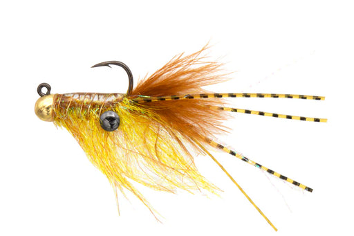 Gamma-Fly-Gold_720x