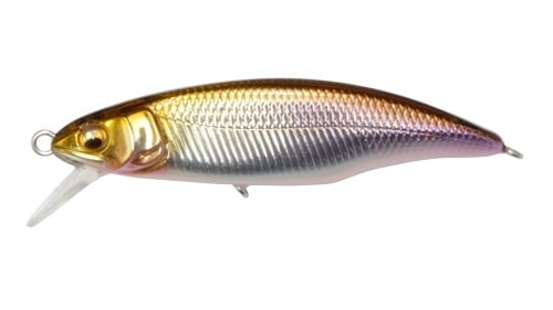 GH50-FLATSIDE-Takumi-Wakasagi