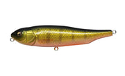 GIANT_DOG-X_-_PERCH