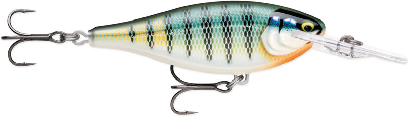 gildedbluegill