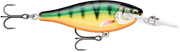 gildedperch
