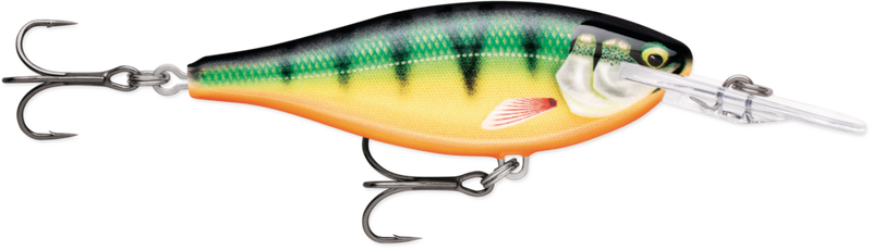 gildedperch